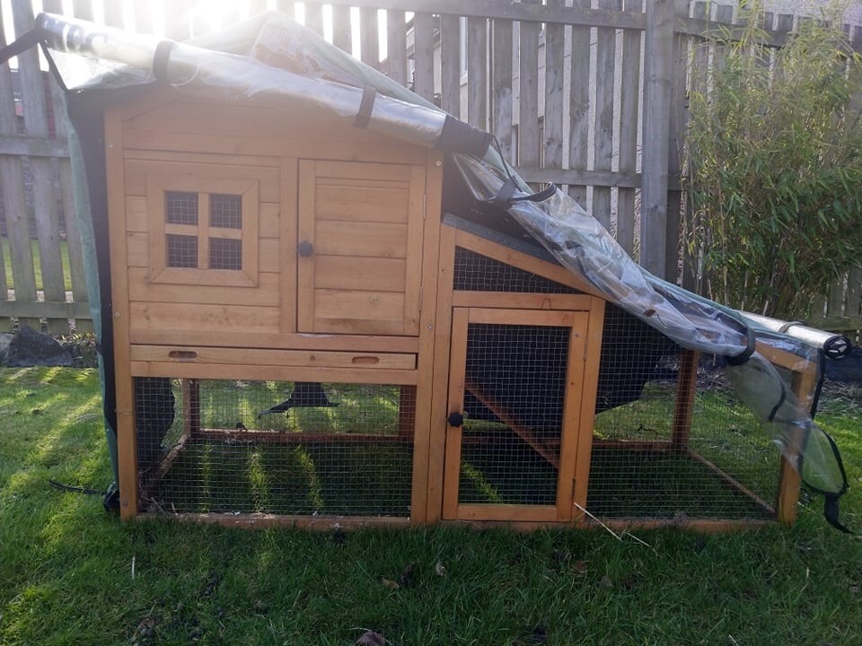 rabbit cages gumtree